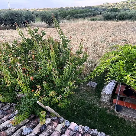 Rustic House With Great Views Of The Mountains