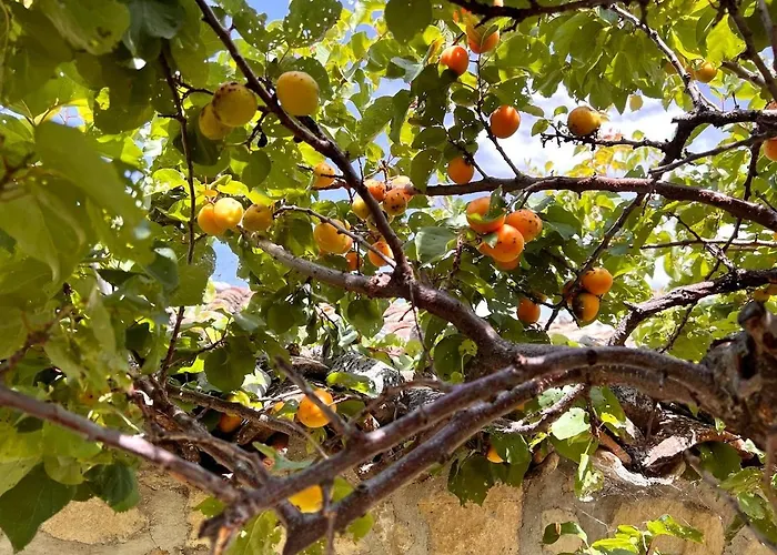 Rustic House With Great Views Of The Mountains Дом отдыха