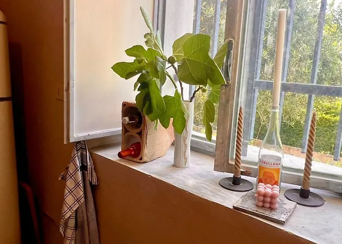 Rustic House With Great Views Of The Mountains * Vicoli